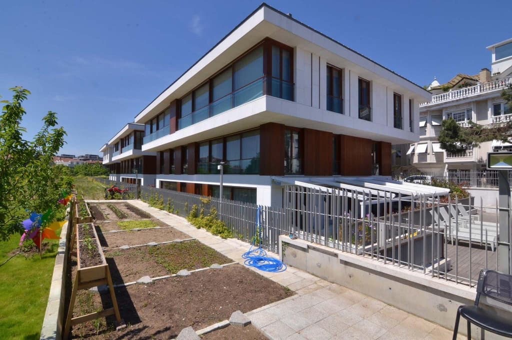 Trio Florya - Image 2